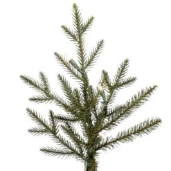 Vickerman Pre-Lit Artificial Christmas Tree (includes Step On/Off Foot Switch) (21554) 5 Vickerman Pre-Lit Artificial Christmas Tree (includes Step On/Off Foot Switch) (21554) -Vickerman Tree Deals Store 21554Miscmd