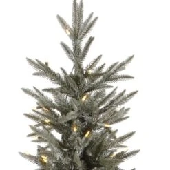 Vickerman Pre-Lit Artificial Christmas Tree (21668) 5 Vickerman Pre-Lit Artificial Christmas Tree (21668) -Vickerman Tree Deals Store 21668Miscmd