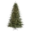 Vickerman Pre-Lit Artificial Christmas Tree (includes Step On/Off Foot Switch) (21744)