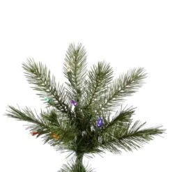 Vickerman Pre-Lit Artificial Christmas Tree (21792) 5 Vickerman Pre-Lit Artificial Christmas Tree (21792) -Vickerman Tree Deals Store 21792Miscmd