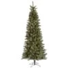 Vickerman Pre-Lit Artificial Christmas Tree (includes Step On/Off Foot Switch) (21889)