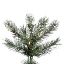Vickerman Pre-Lit Artificial Christmas Tree (includes Step On/Off Foot Switch) (21915) -Vickerman Tree Deals Store 21915Miscmd