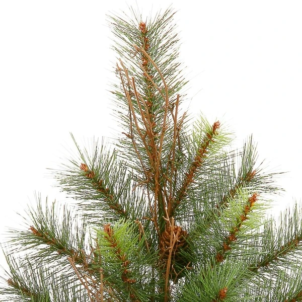 Vickerman Pre-Lit Christmas Tree With Pine Cones (22351) 3 Vickerman Pre-Lit Christmas Tree With Pine Cones (22351) - Image 3