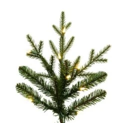 Vickerman Pre-Lit Artificial Christmas Tree (675632) -Vickerman Tree Deals Store 675632closemd