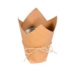 Vickerman Pre-Lit Christmas Tree (675656) 7 Vickerman Pre-Lit Christmas Tree (675656) -Vickerman Tree Deals Store 675649potmd