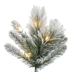 Vickerman Pre-Lit Artificial Christmas Tree (719299) -Vickerman Tree Deals Store 719299branchmd