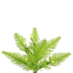Vickerman Pre-Lit Christmas Tree (Includes On/Off Foot Switch) (28255) 5 Vickerman Pre-Lit Christmas Tree (Includes On/Off Foot Switch) (28255) -Vickerman Tree Deals Store Lime20Fir20Branchmd 1